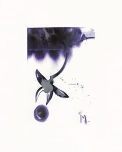 black orchid eclipse